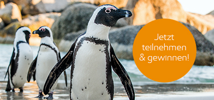 kapstadt südafrika esso bonus reise gewinnen